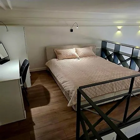 T-luxury In Time-modern In The Center Of Apartment Kaunas